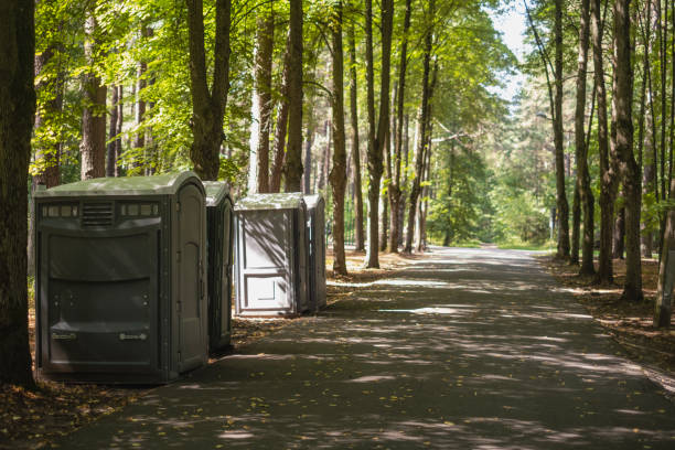 Best Luxury portable toilet rental  in Dyersville, IA