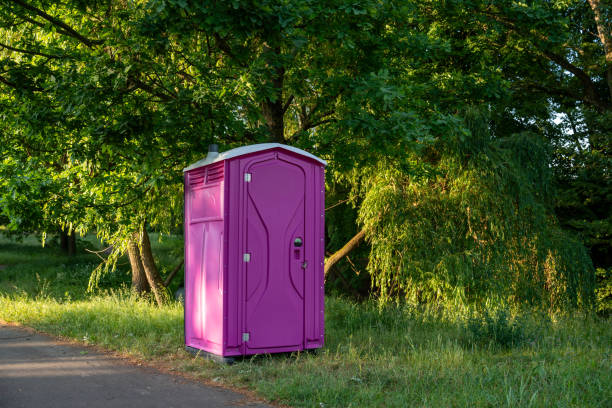 Best Affordable portable toilet rental  in Dyersville, IA